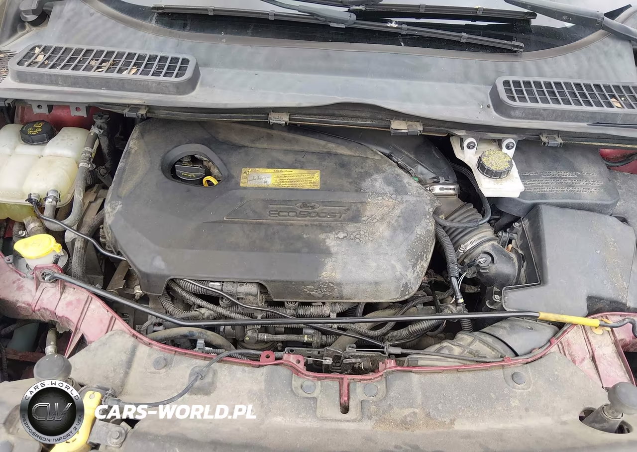 2014 Ford Escape Se VIN:1FMCU0GX4EUB15474 - 10