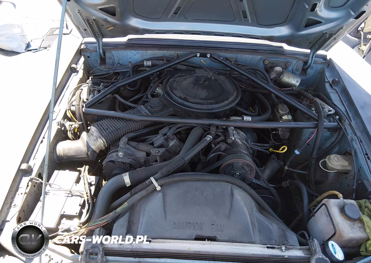 1985 Ford Mustang Lx VIN:1FABP2630FF193019 - 10