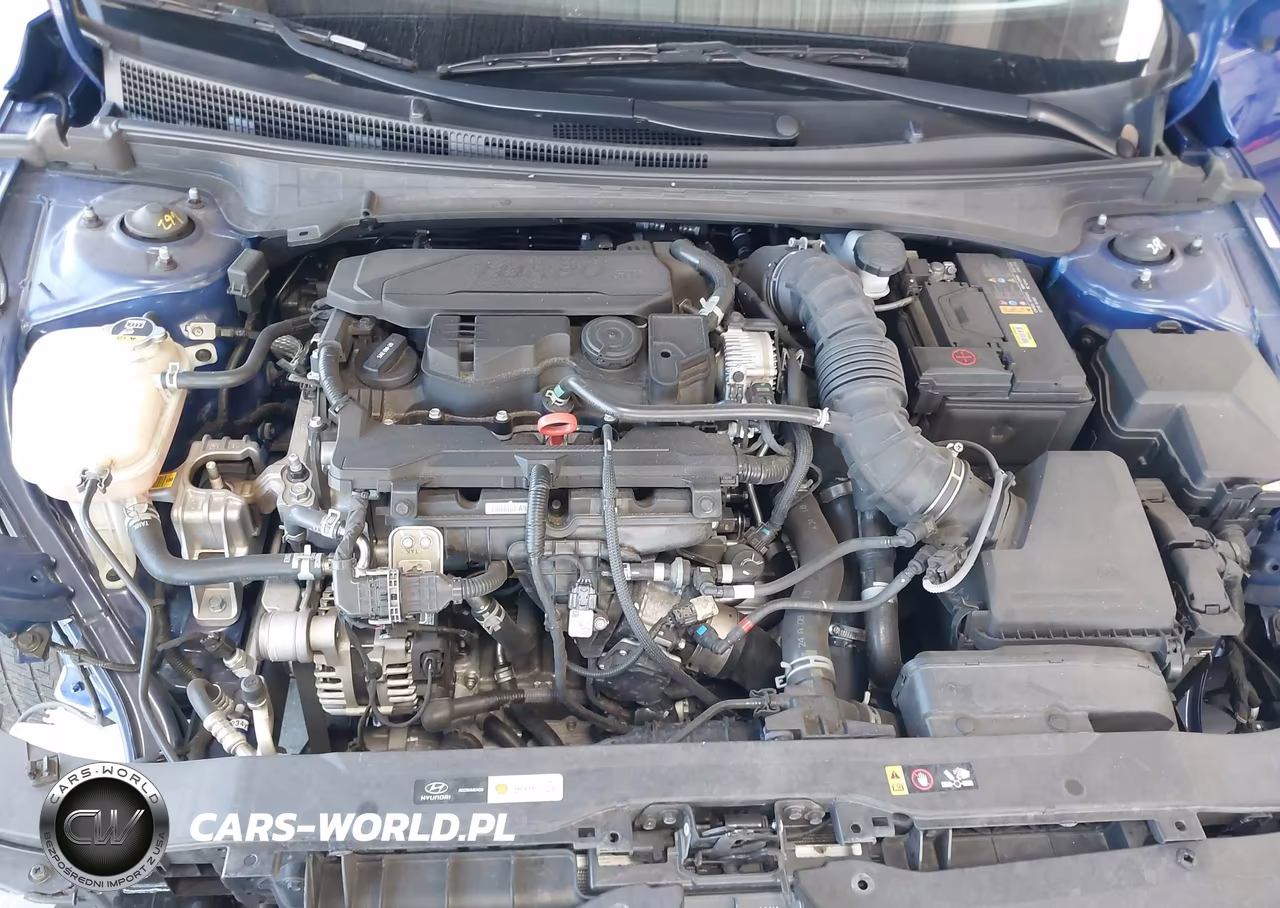 2024 Hyundai Elantra N Line VIN:KMHLR4DF4RU744906 - 10