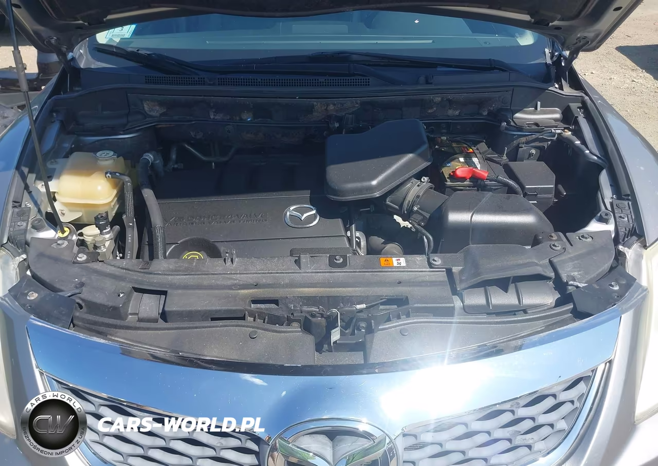 2010 Mazda Cx-9 Touring VIN:JM3TB3MV3A0207974 - 10