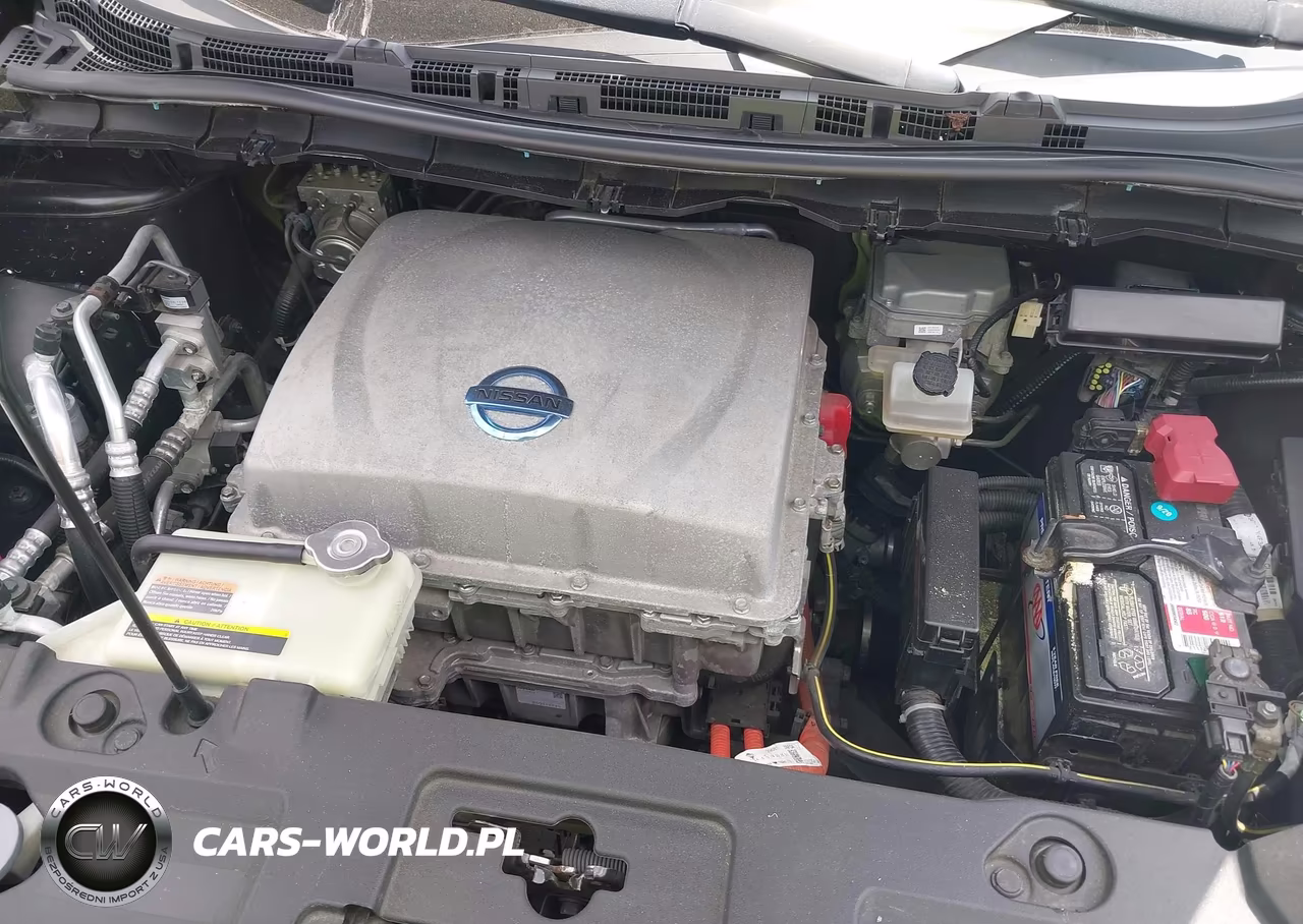 2013 Nissan Leaf Sv VIN:1N4AZ0CP0DC410522 - 10