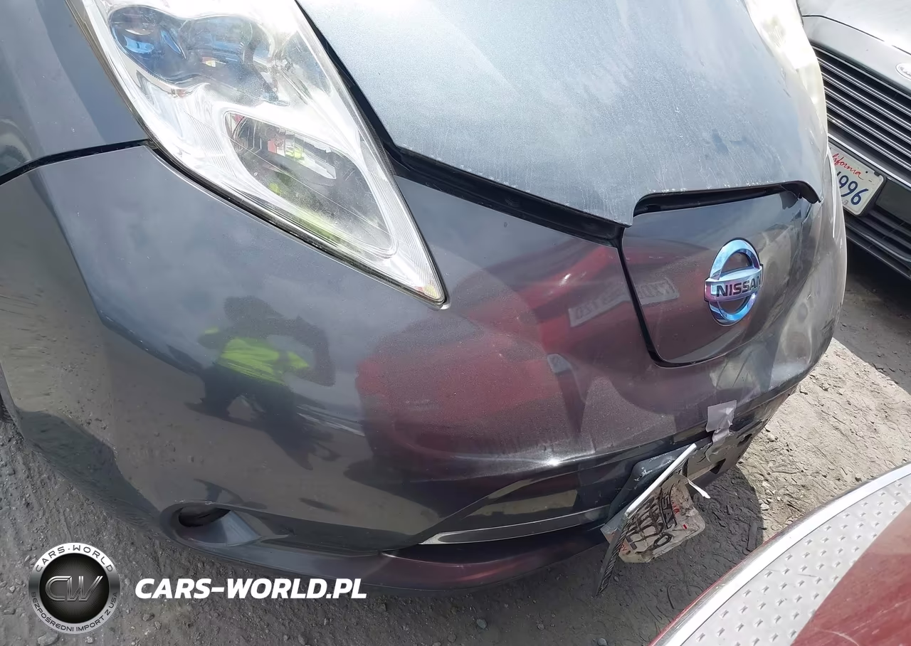 2013 Nissan Leaf Sv VIN:1N4AZ0CP0DC410522 - 15
