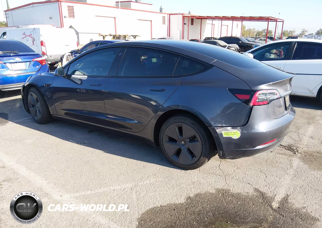 2022 Tesla Model 3 Rear-Wheel Drive VIN:5YJ3E1EA7NF376659 - 3