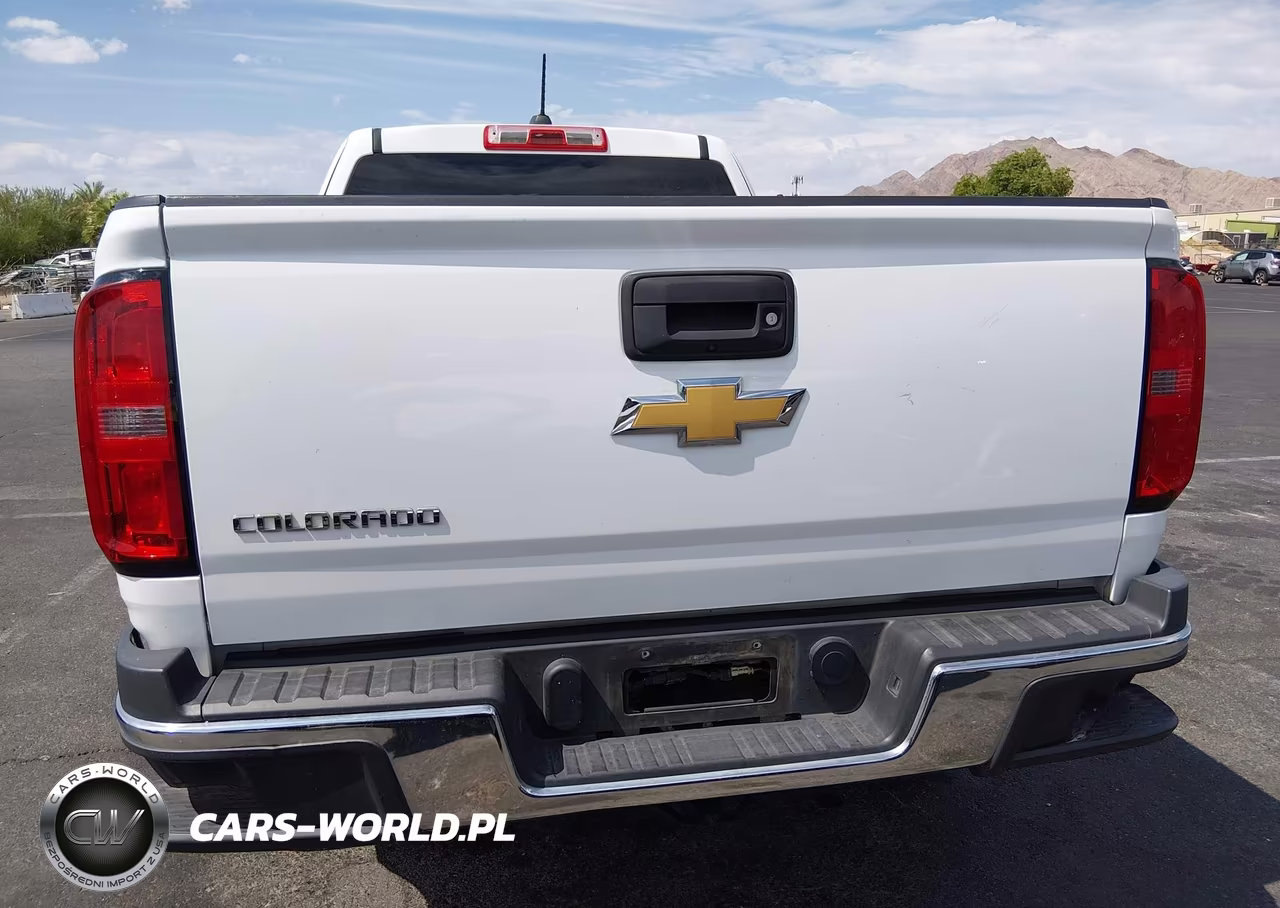 2020 Chevrolet Colorado 2Wd Long Box Wt VIN:1GCHSBEA4L1246901 - 16