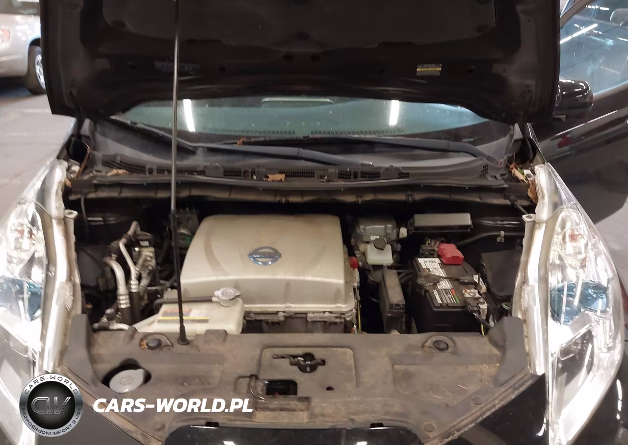 2015 Nissan Leaf Sl VIN:1N4AZ0CP5FC306658 - 10