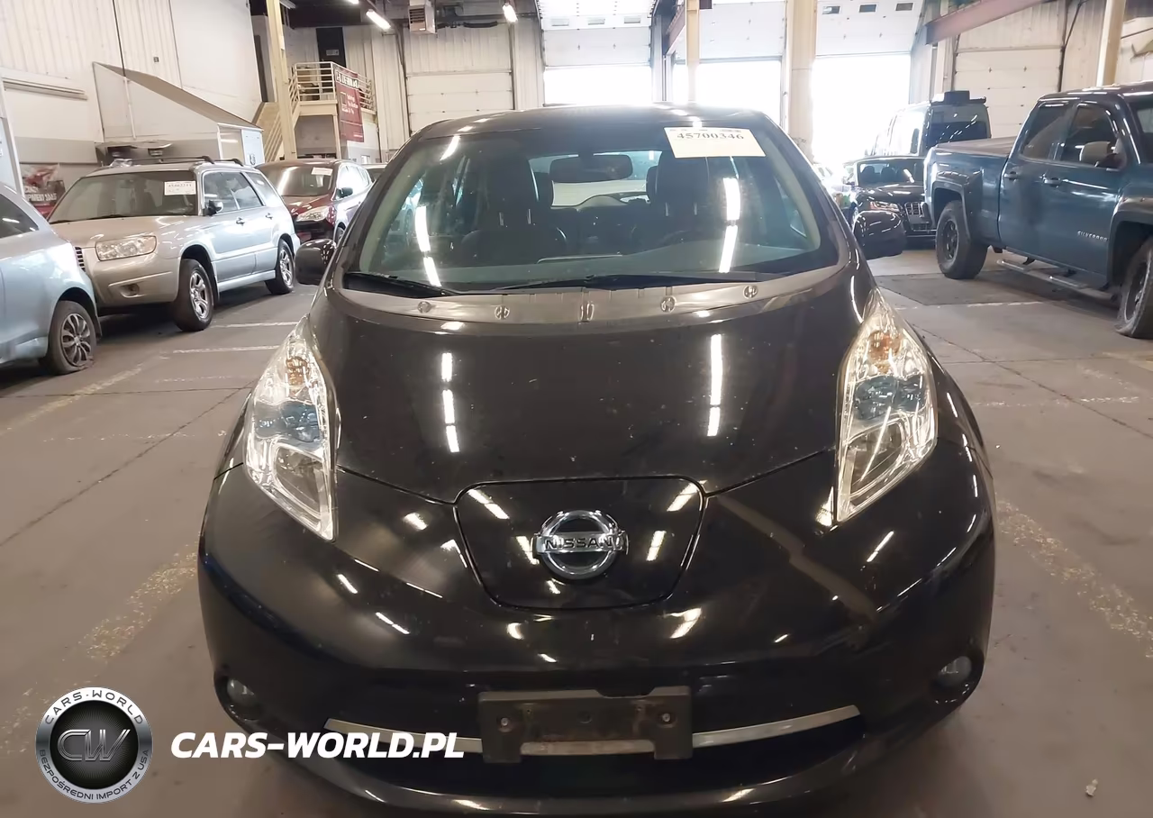 2015 Nissan Leaf Sl VIN:1N4AZ0CP5FC306658 - 12