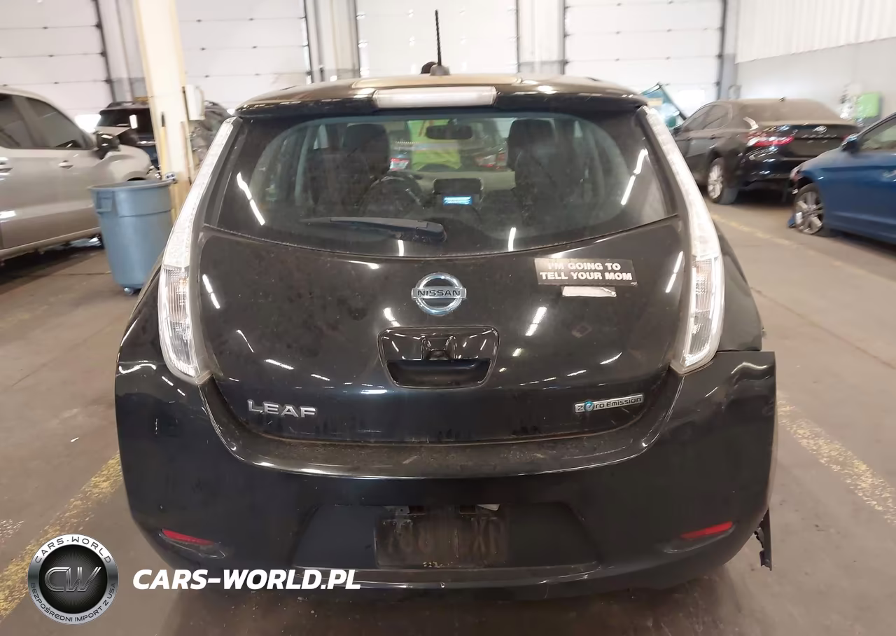 2015 Nissan Leaf Sl VIN:1N4AZ0CP5FC306658 - 16