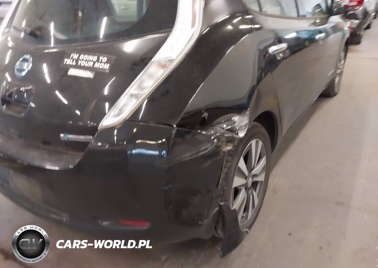 2015 Nissan Leaf Sl VIN:1N4AZ0CP5FC306658 - 6