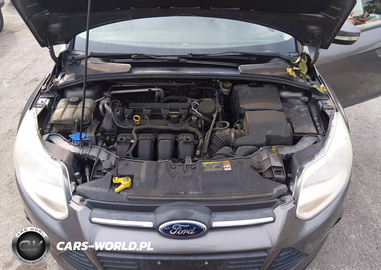 2013 Ford Focus Se VIN:1FADP3F26DL199217 - 10