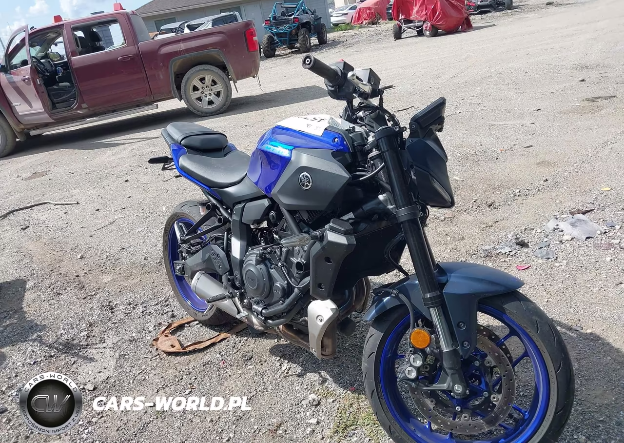 2025 Yamaha Mtn690