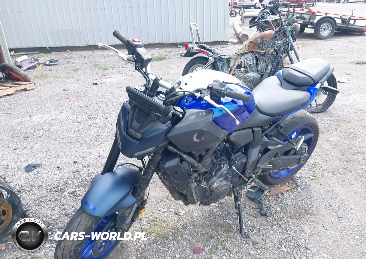 2025 Yamaha Mtn690 VIN:JYARM48E1SA001556 - 2