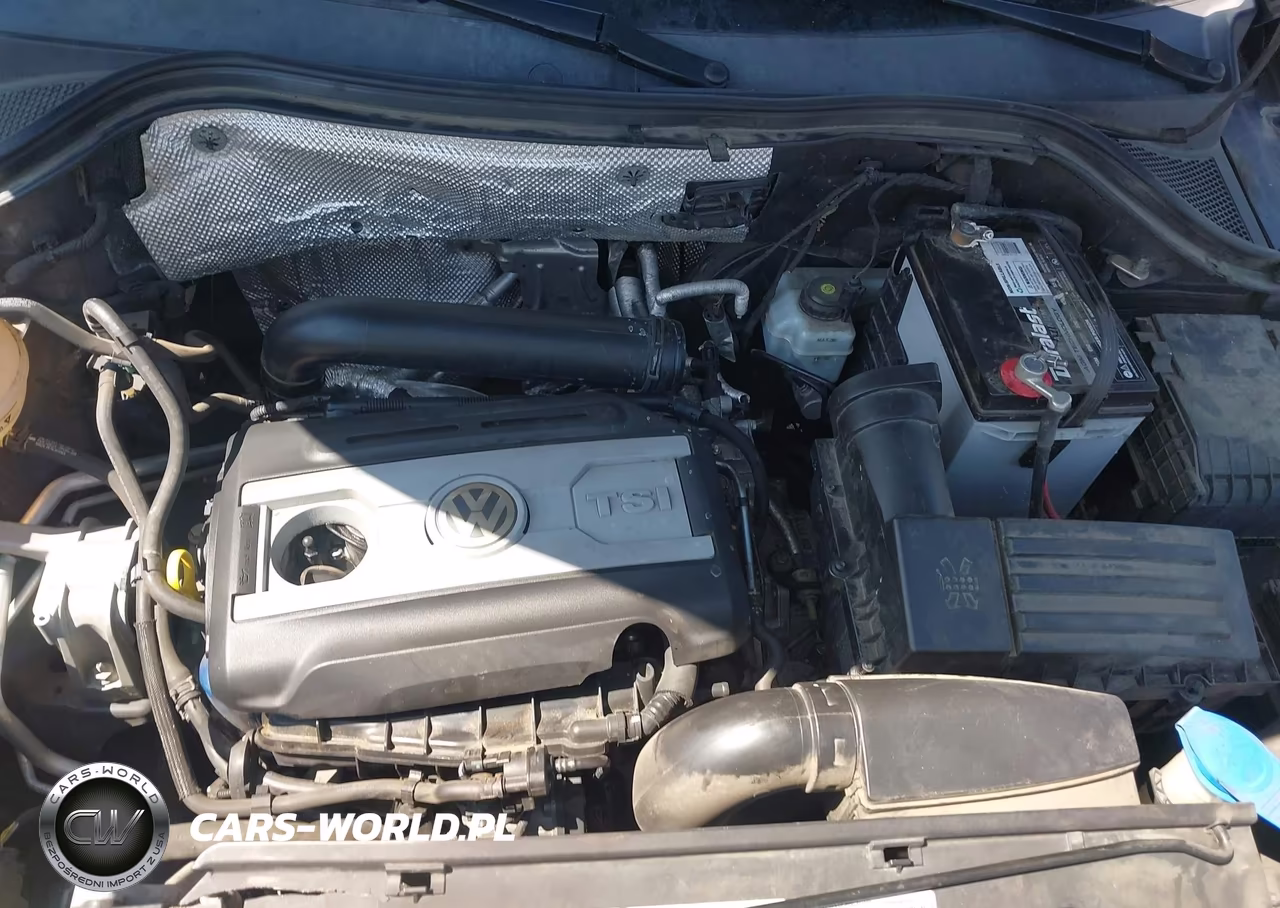 2016 Volkswagen Tiguan S VIN:WVGBV7AX0GK000296 - 10