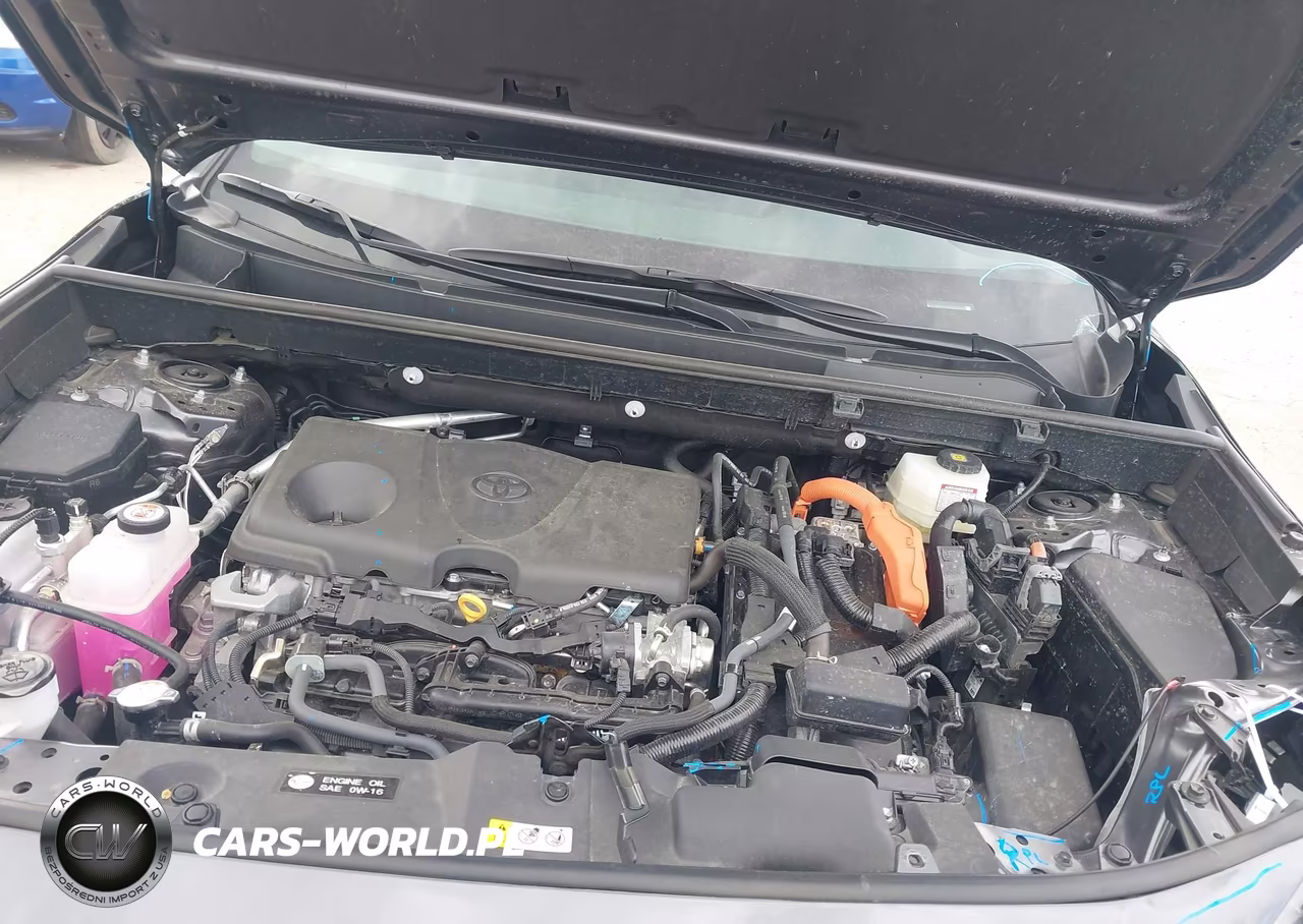 2025 Toyota Rav4 Hybrid Xle VIN:4T3RWRFV3SU208420 - 10
