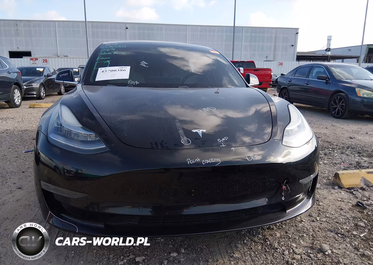 2019 Tesla Model 3 Long Range-Mid Range-Standard Range-Standard Range Plus VIN:5YJ3E1EA8KF413035 - 12
