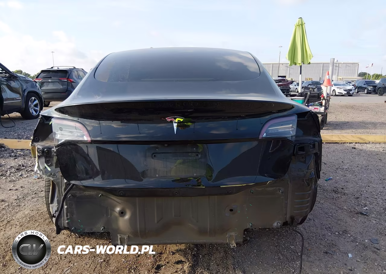 2019 Tesla Model 3 Long Range-Mid Range-Standard Range-Standard Range Plus VIN:5YJ3E1EA8KF413035 - 16