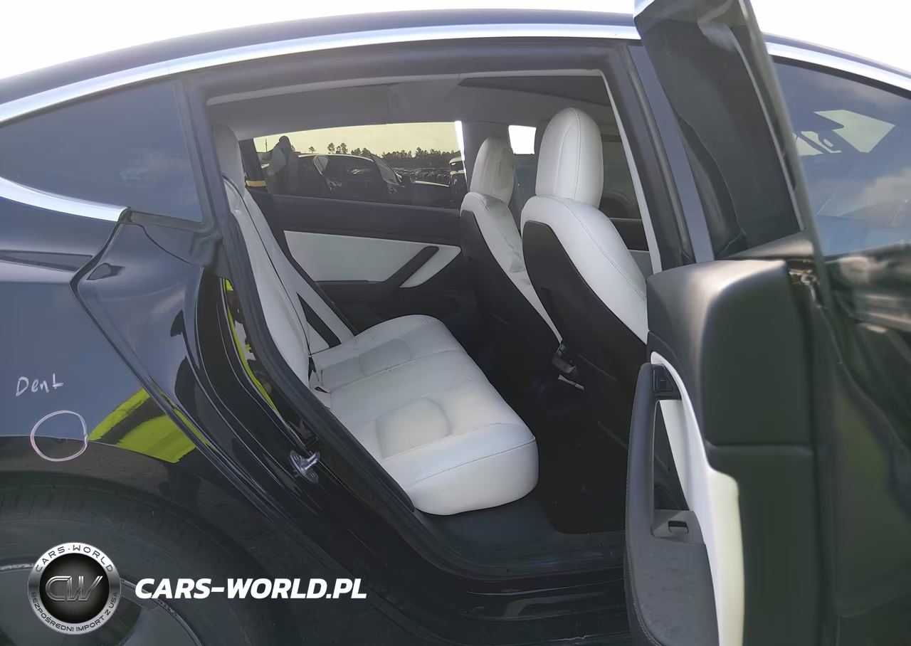 2019 Tesla Model 3 Long Range-Mid Range-Standard Range-Standard Range Plus VIN:5YJ3E1EA8KF413035 - 8