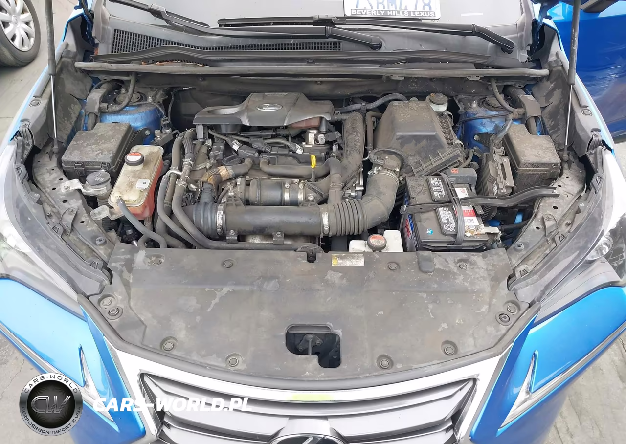 2016 Lexus Nx 200T VIN:JTJYARBZ9G2027449 - 10
