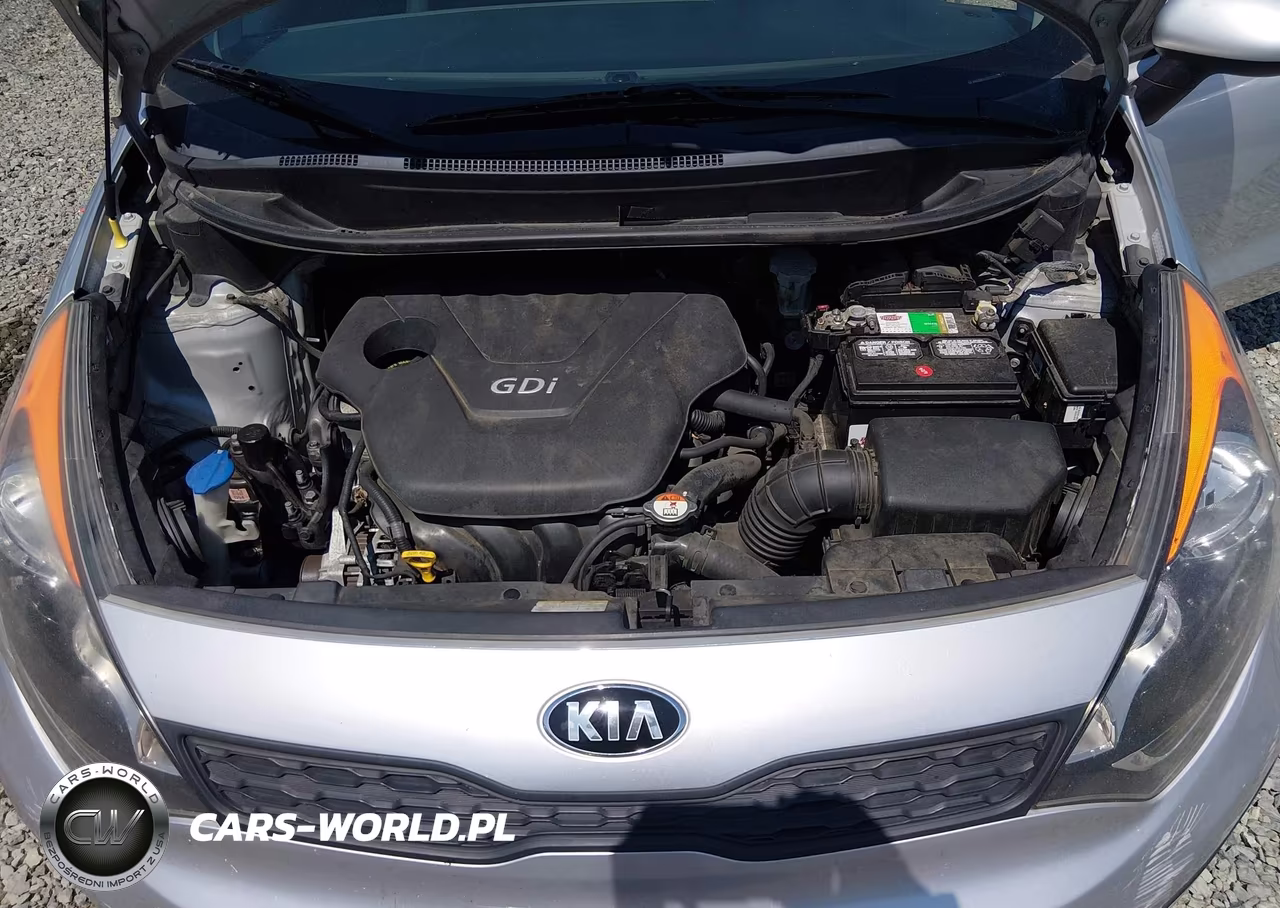 2014 Kia Rio Lx VIN:KNADM5A39E6351275 - 10