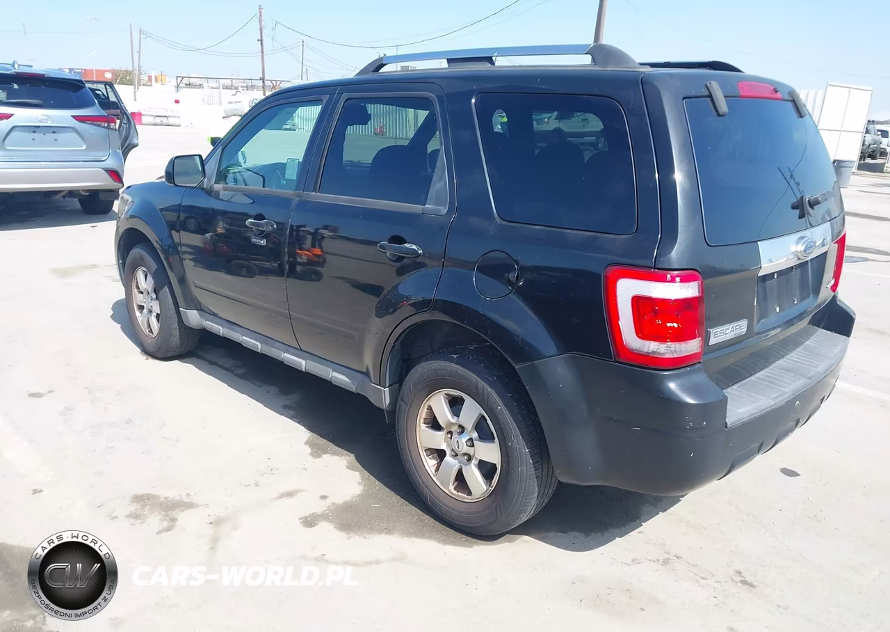 2009 Ford Escape Limited VIN:1FMCU94G59KB96950 - 3