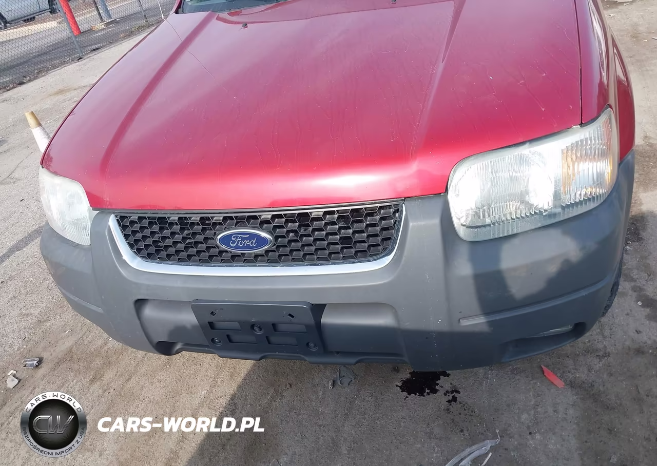 2004 Ford Escape Xlt VIN:1FMYU93194KA63250 - 6