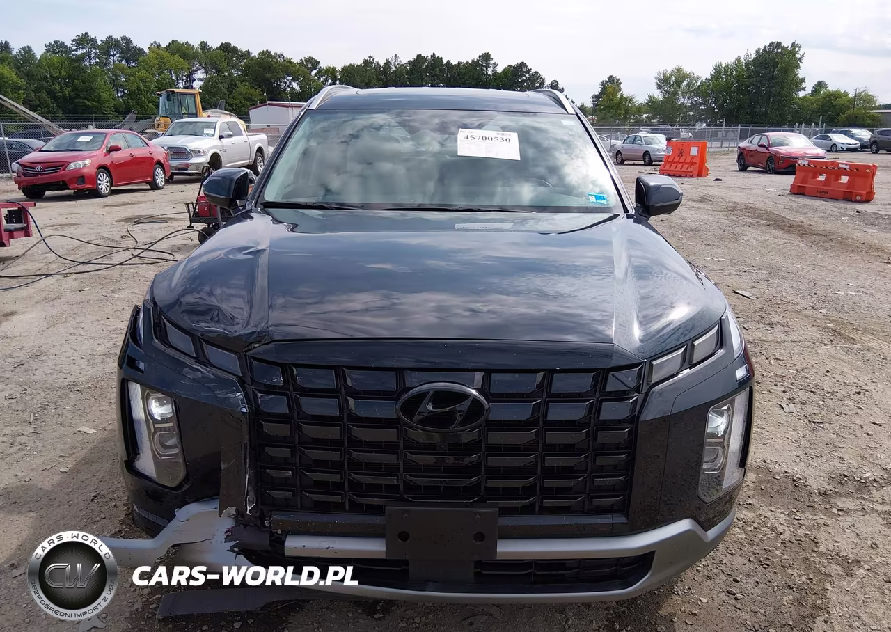 2025 Hyundai Palisade Sel Premium VIN:KM8R4DGE6SU871027 - 12