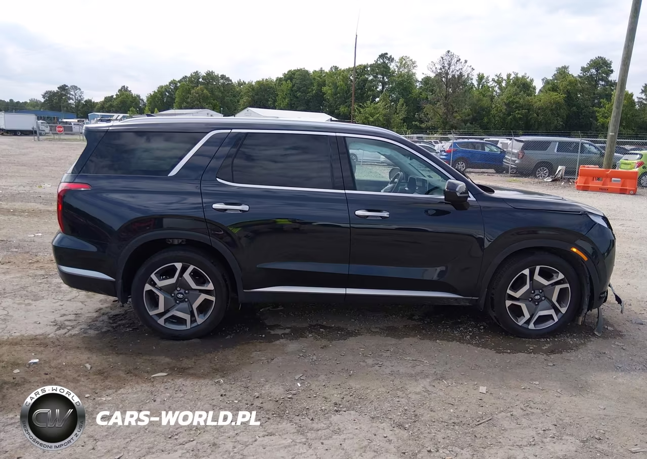 2025 Hyundai Palisade Sel Premium VIN:KM8R4DGE6SU871027 - 13