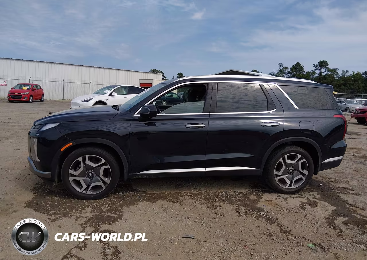 2025 Hyundai Palisade Sel Premium VIN:KM8R4DGE6SU871027 - 14