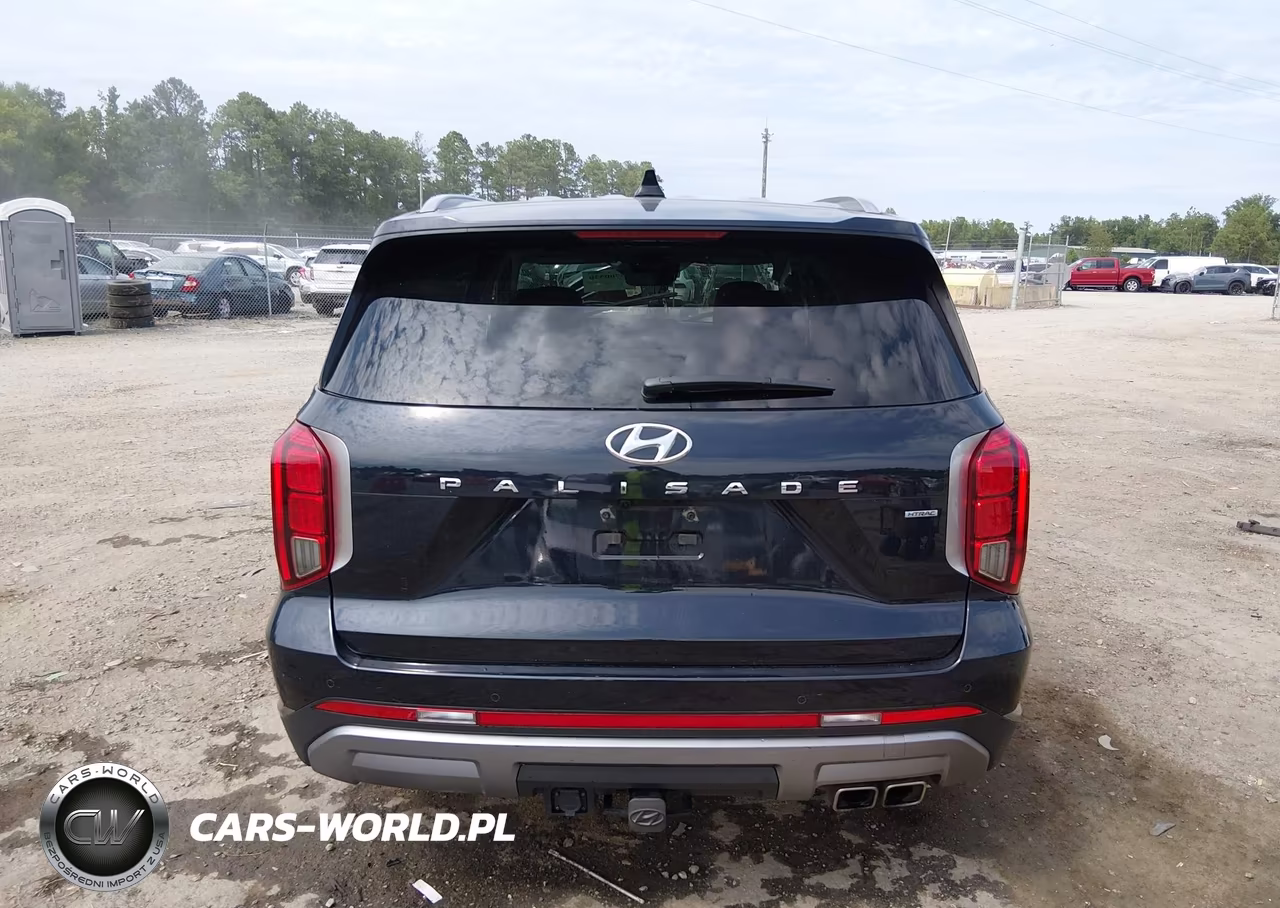2025 Hyundai Palisade Sel Premium VIN:KM8R4DGE6SU871027 - 16