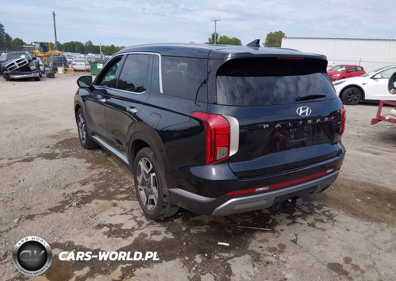 2025 Hyundai Palisade Sel Premium VIN:KM8R4DGE6SU871027 - 3