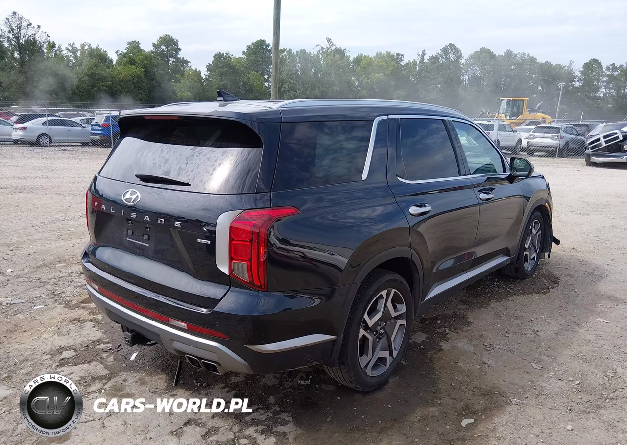 2025 Hyundai Palisade Sel Premium VIN:KM8R4DGE6SU871027 - 4