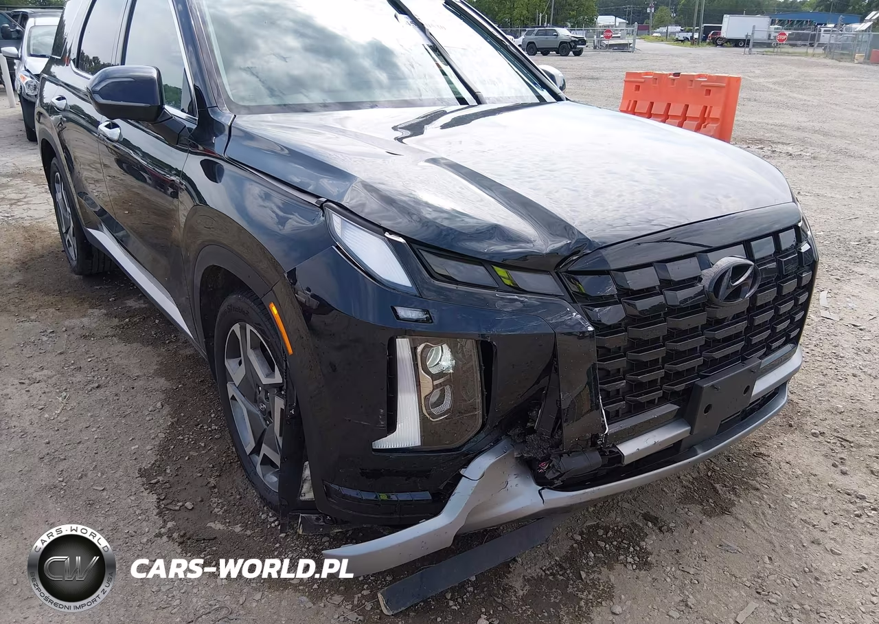 2025 Hyundai Palisade Sel Premium VIN:KM8R4DGE6SU871027 - 6