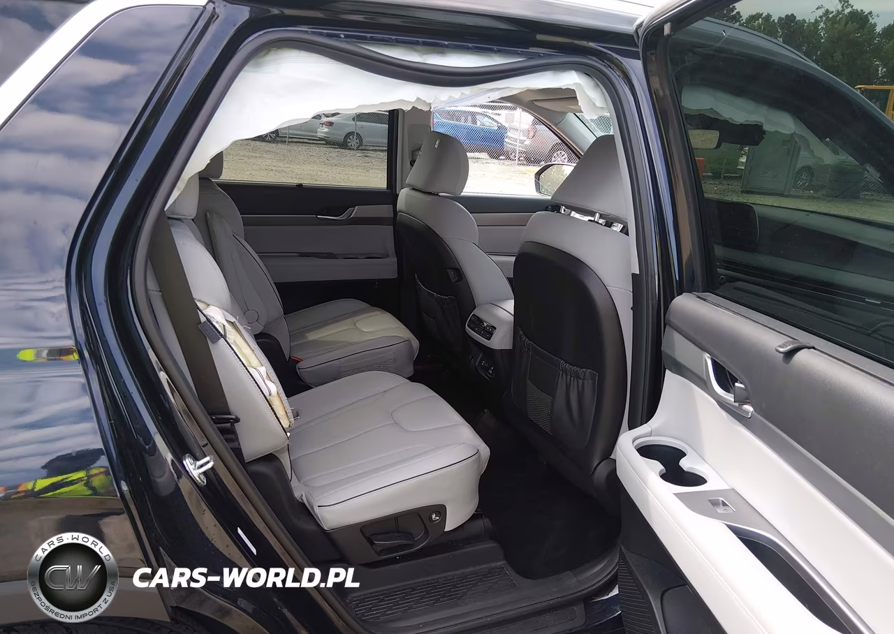 2025 Hyundai Palisade Sel Premium VIN:KM8R4DGE6SU871027 - 8