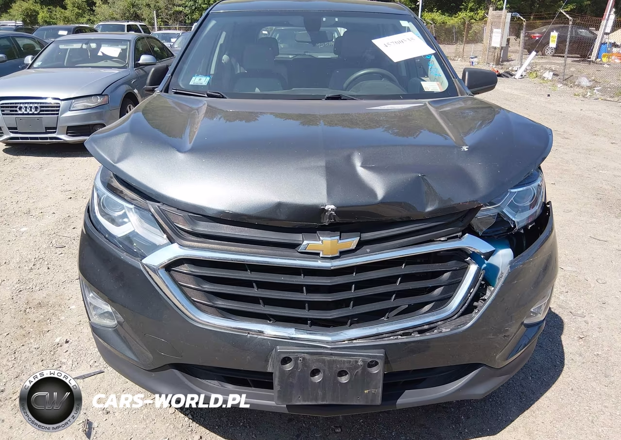 2019 Chevrolet Equinox Ls VIN:3GNAXSEV6KS653497 - 12
