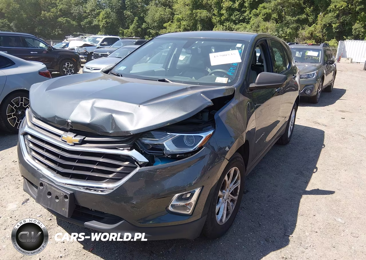 2019 Chevrolet Equinox Ls VIN:3GNAXSEV6KS653497 - 2