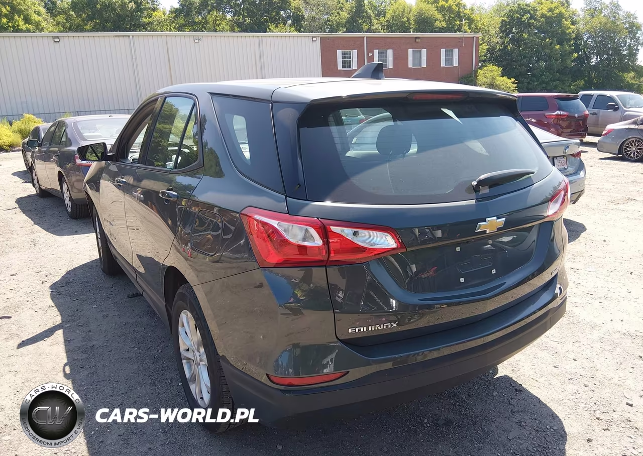 2019 Chevrolet Equinox Ls VIN:3GNAXSEV6KS653497 - 3