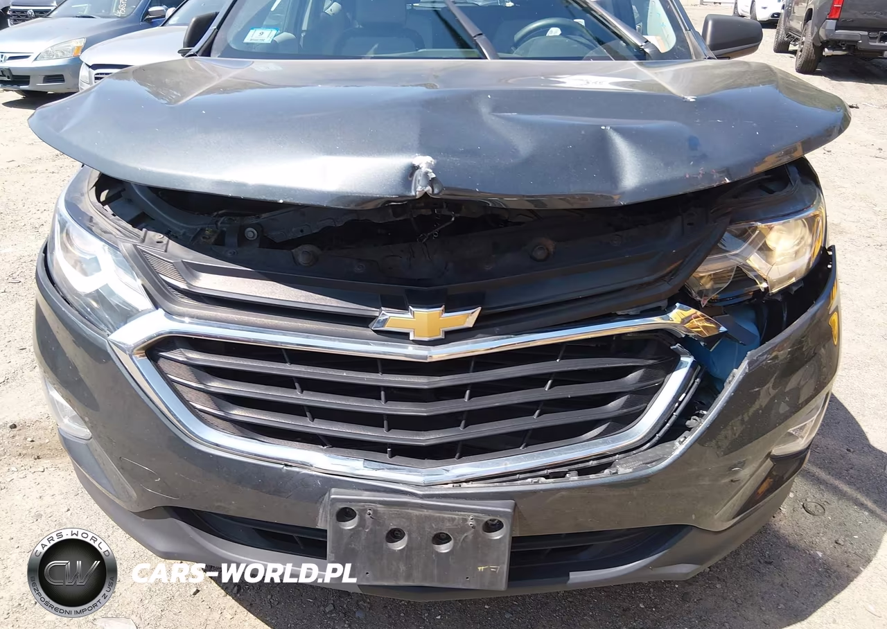2019 Chevrolet Equinox Ls VIN:3GNAXSEV6KS653497 - 6