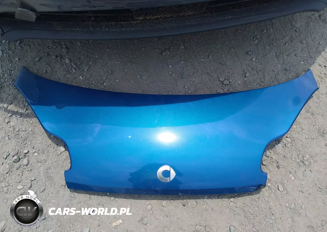 2008 Smart Fortwo Passion-Pure VIN:WMEEJ31X88K123630 - 12
