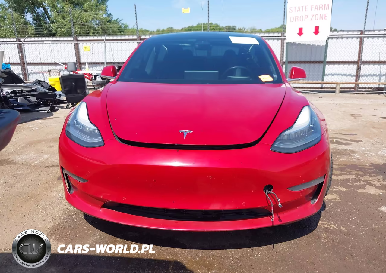2019 Tesla Model 3 Long Range-Mid Range-Standard Range-Standard Range Plus VIN:5YJ3E1EA1KF307638 - 12