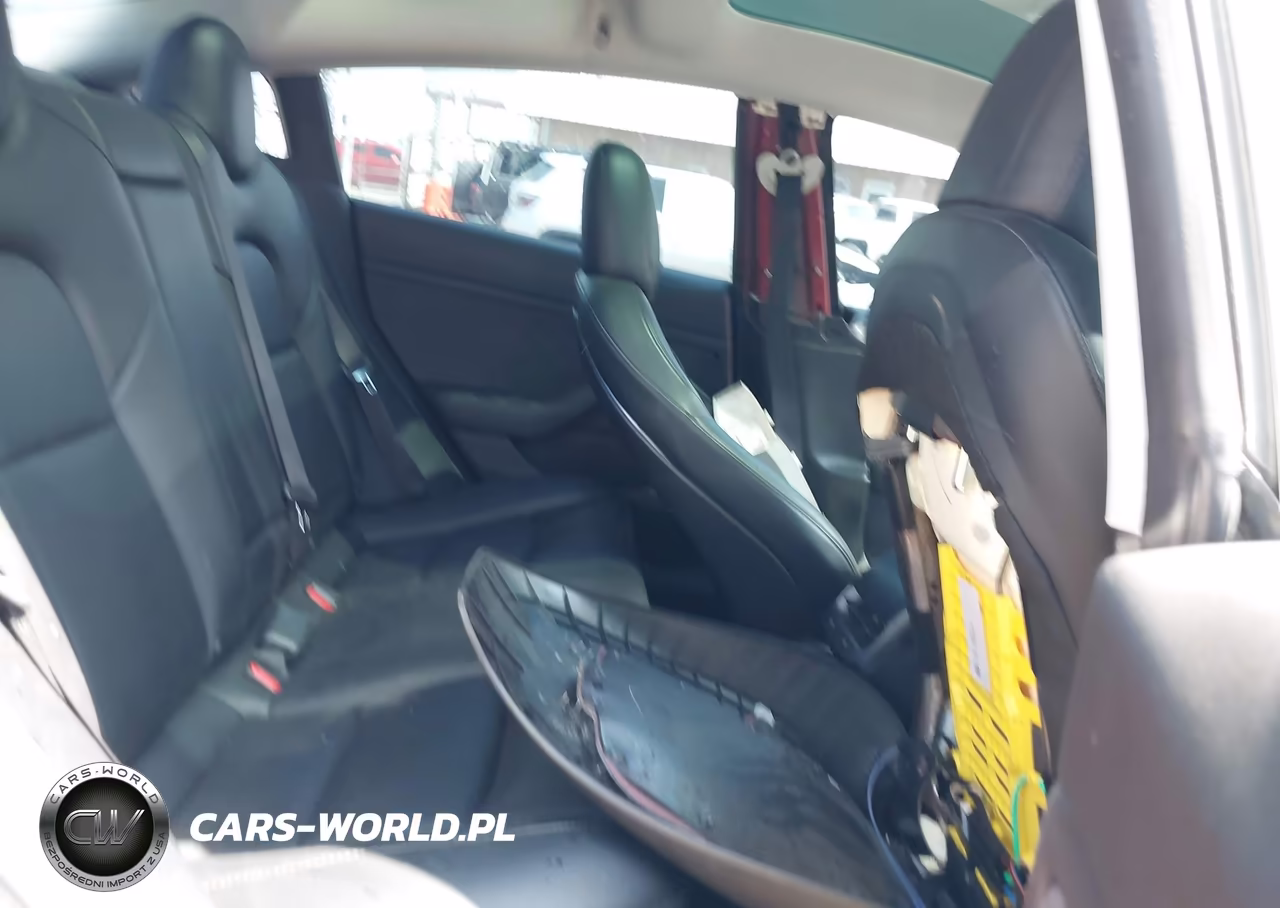 2019 Tesla Model 3 Long Range-Mid Range-Standard Range-Standard Range Plus VIN:5YJ3E1EA1KF307638 - 8