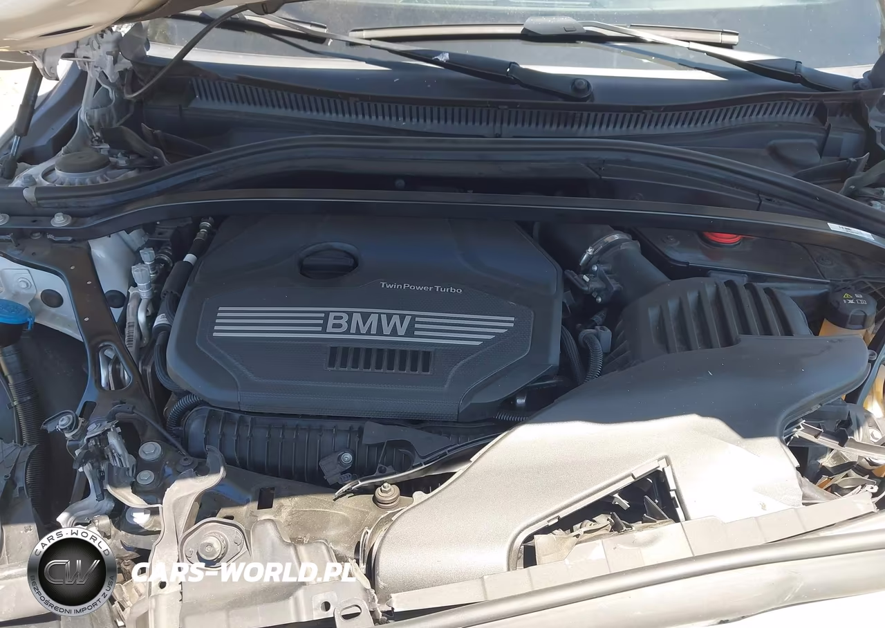 2023 BMW 228 Gran Coupe I Sdrive VIN:WBA53AK08P7M37534 - 10