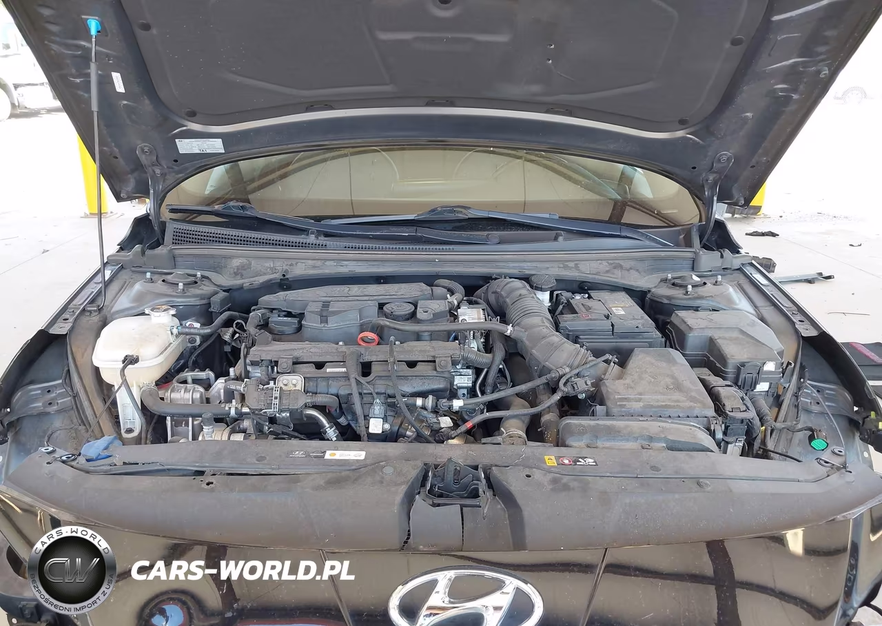 2022 Hyundai Elantra N Line VIN:KMHLR4AF2NU238893 - 10