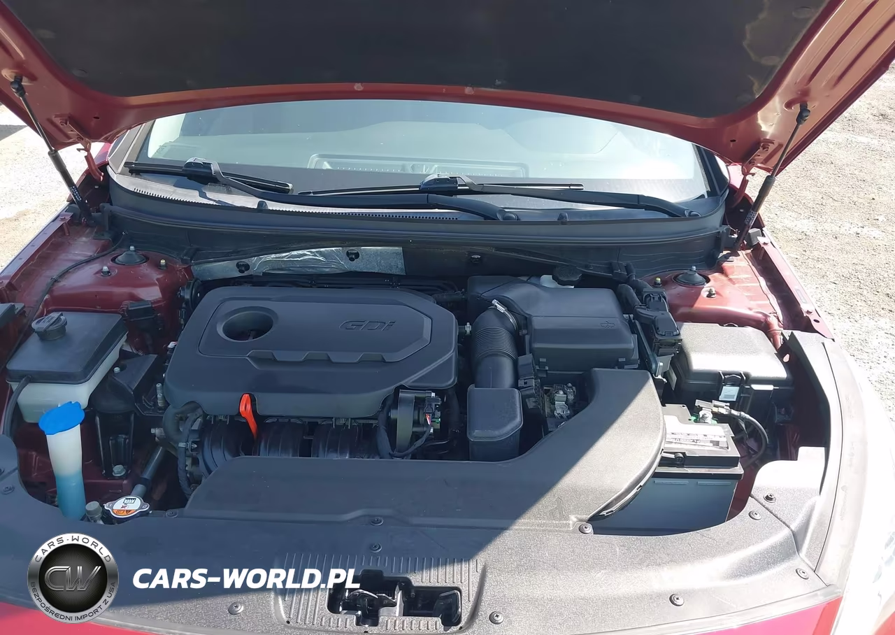 2015 Hyundai Sonata Se VIN:5NPE24AF1FH131251 - 10