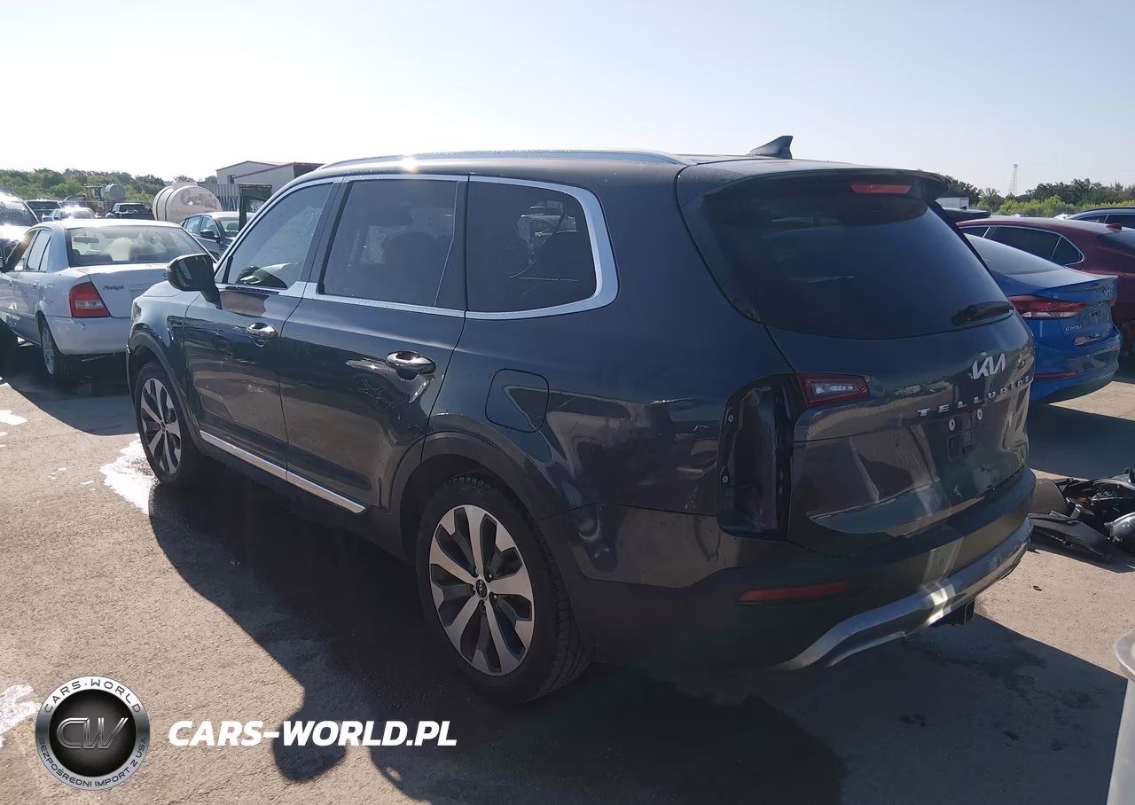 2022 Kia Telluride Ex VIN:5XYP34HC6NG256575 - 3