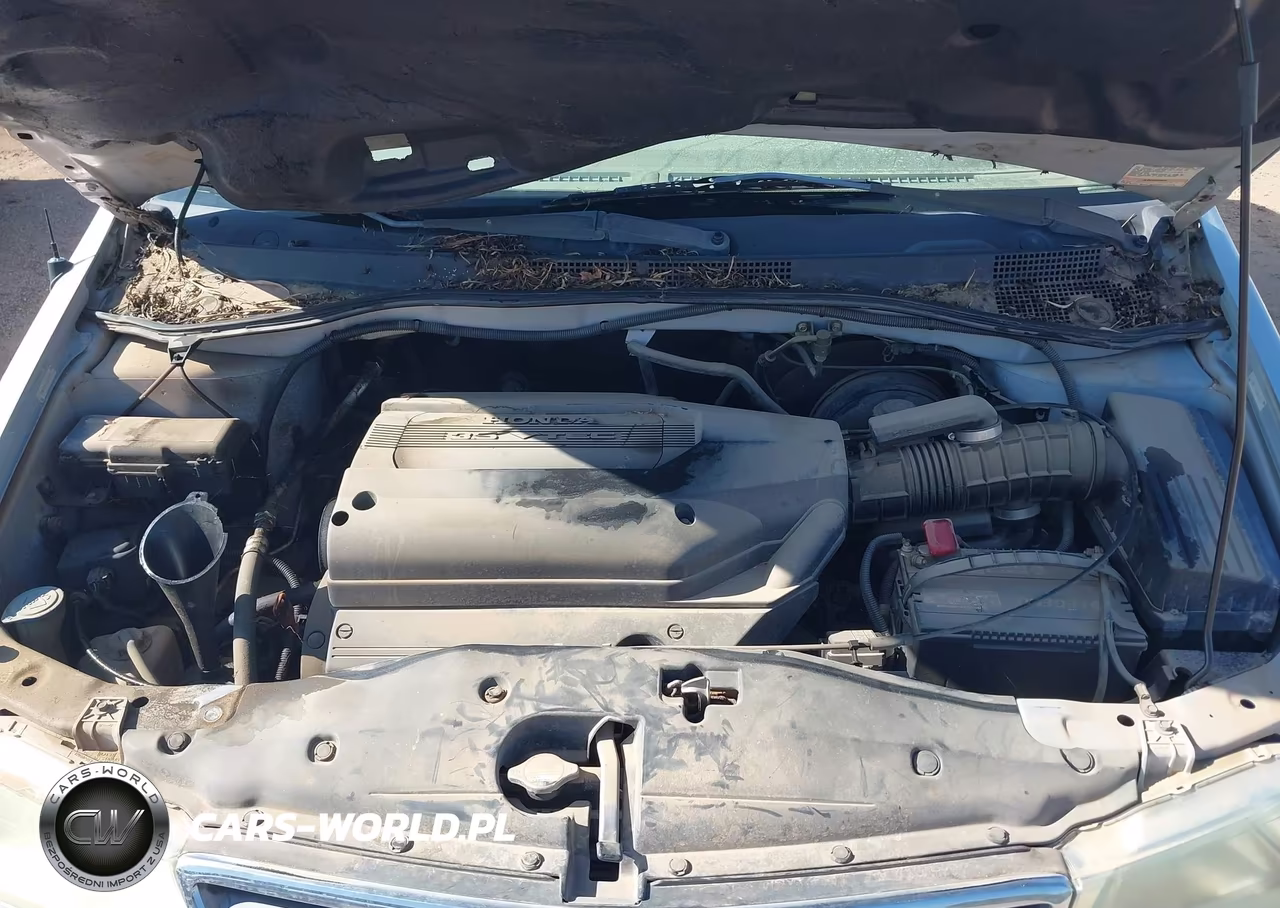 2002 Honda Odyssey Ex-L VIN:5FNRL18062B035283 - 10