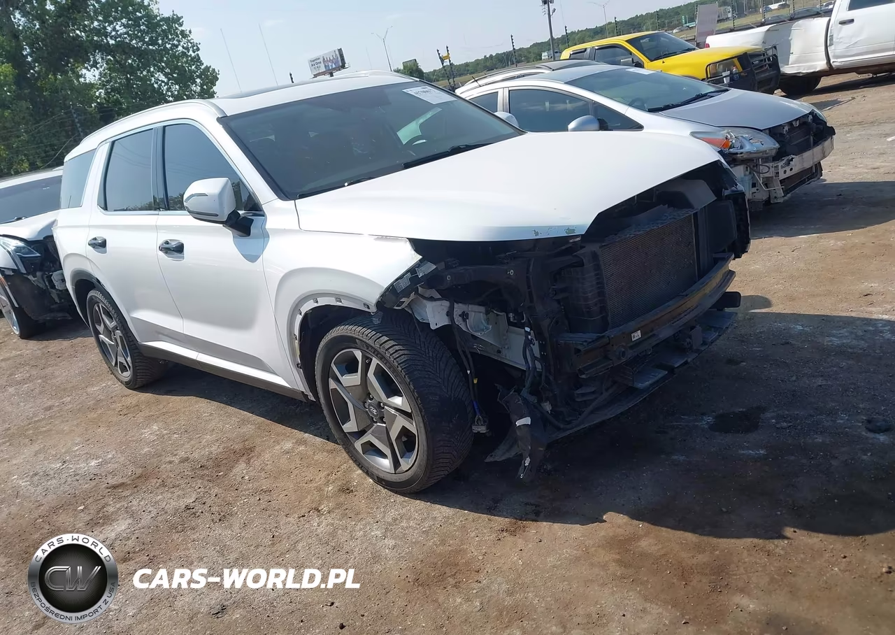 2023 Hyundai Palisade Sel VIN:KM8R44GE6PU516396 - 1