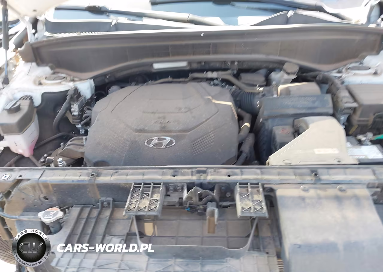 2023 Hyundai Palisade Sel VIN:KM8R44GE6PU516396 - 10