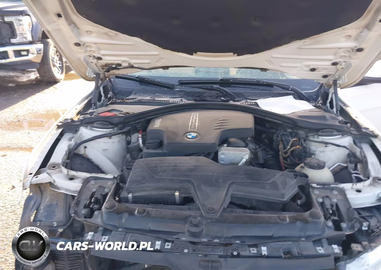 2013 BMW 320I xDrive VIN:WBA3C3C51DF982585 - 10