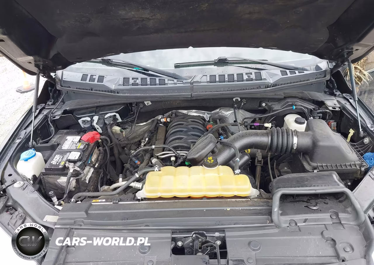 2019 Ford F-150 Xlt VIN:1FTEW1E56KKC94817 - 10