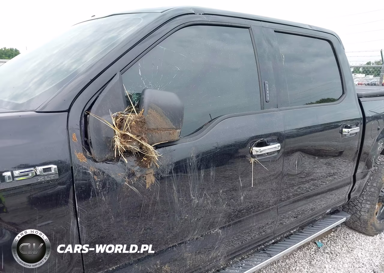 2019 Ford F-150 Xlt VIN:1FTEW1E56KKC94817 - 19