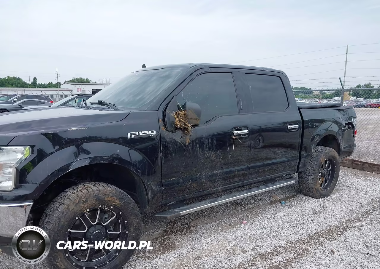 2019 Ford F-150 Xlt VIN:1FTEW1E56KKC94817 - 6